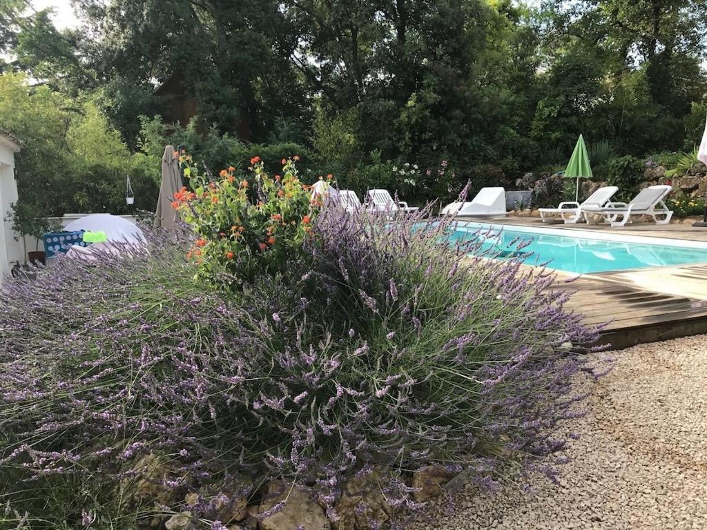 Villa Oha Close Cannes,Nice, Valbonne , Opio روكفور-لا-بين المظهر الخارجي الصورة