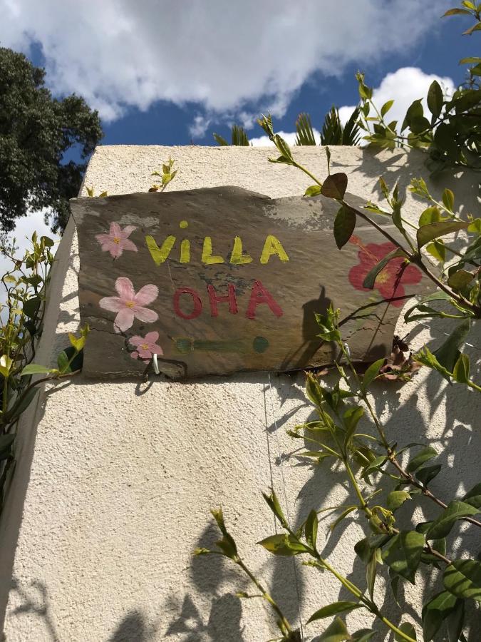 Villa Oha Close Cannes,Nice, Valbonne , Opio روكفور-لا-بين المظهر الخارجي الصورة